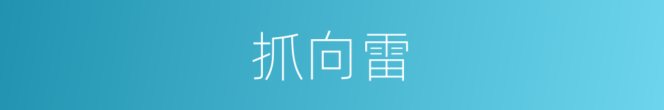 抓向雷的同义词