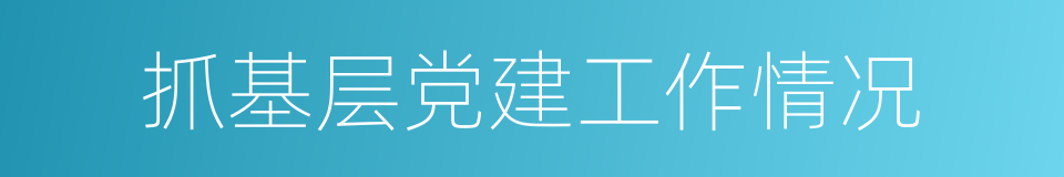 抓基层党建工作情况的同义词