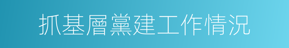 抓基層黨建工作情況的同義詞