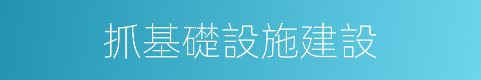 抓基礎設施建設的同義詞