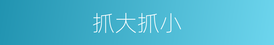 抓大抓小的同义词