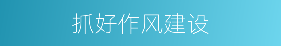 抓好作风建设的同义词