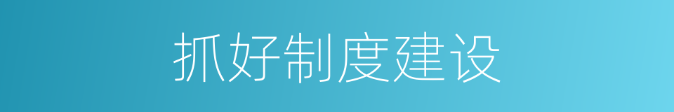 抓好制度建设的同义词