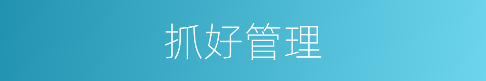 抓好管理的同义词