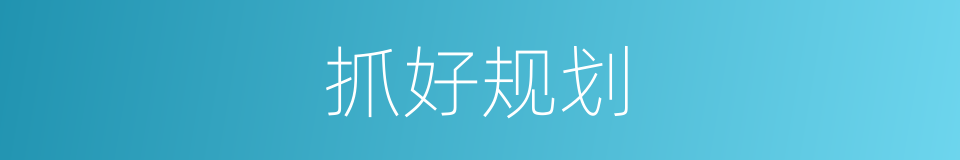 抓好规划的同义词
