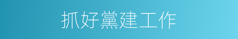 抓好黨建工作的同義詞