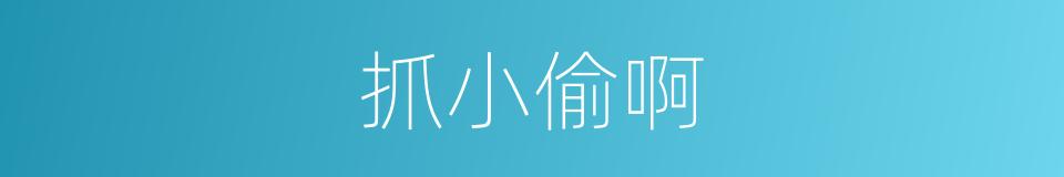 抓小偷啊的同义词