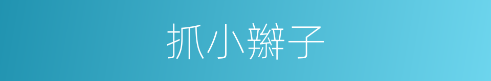 抓小辮子的意思