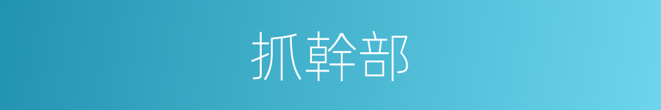 抓幹部的同義詞