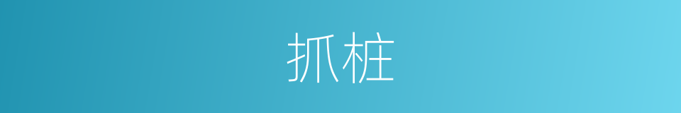 抓桩的同义词