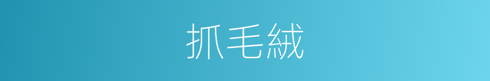 抓毛絨的同義詞