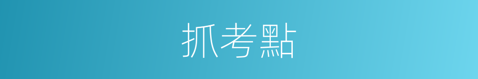 抓考點的同義詞