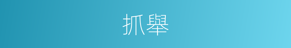 抓舉的意思