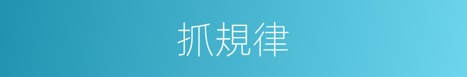 抓規律的同義詞