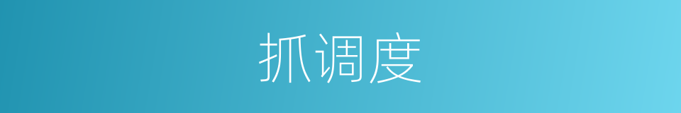 抓调度的同义词