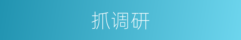 抓调研的同义词