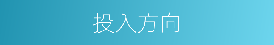 投入方向的同义词