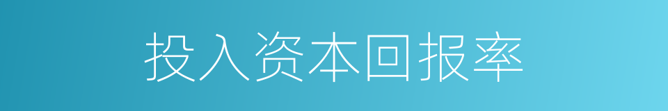 投入资本回报率的同义词