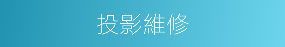 投影維修的同義詞