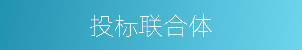 投标联合体的同义词