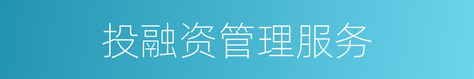 投融资管理服务的同义词