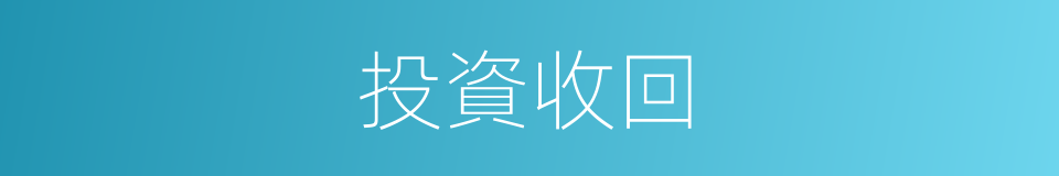 投資收回的同義詞