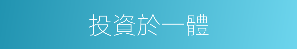 投資於一體的同義詞