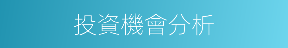 投資機會分析的同義詞