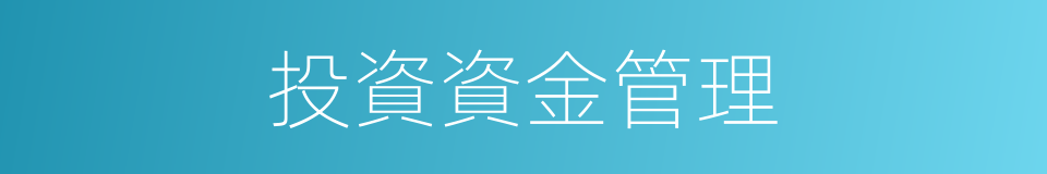 投資資金管理的同義詞