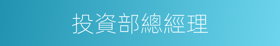 投資部總經理的同義詞