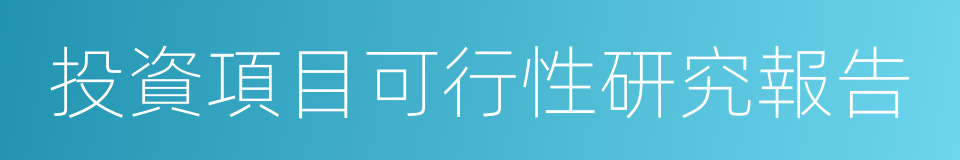 投資項目可行性研究報告的同義詞