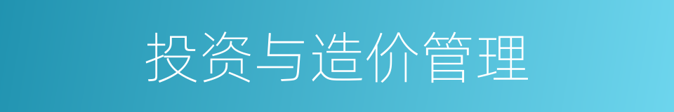 投资与造价管理的同义词