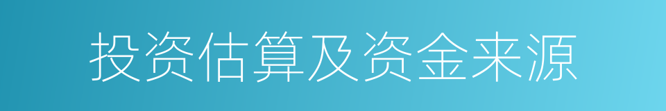 投资估算及资金来源的同义词