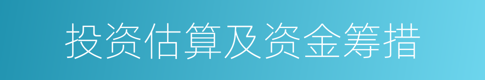 投资估算及资金筹措的同义词