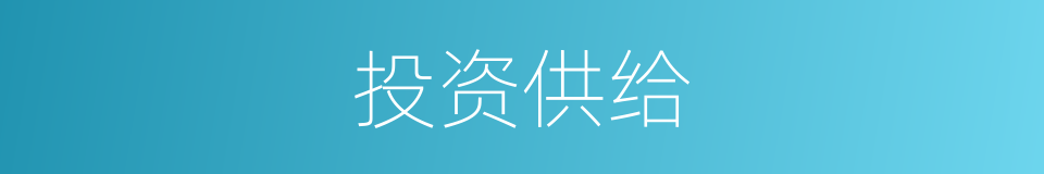 投资供给的同义词