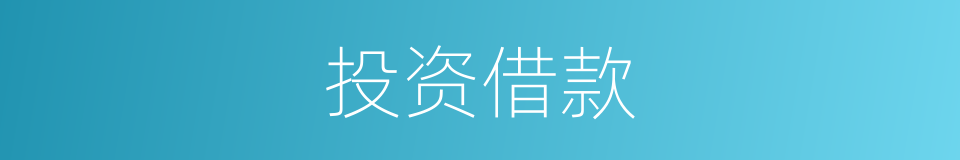 投资借款的同义词