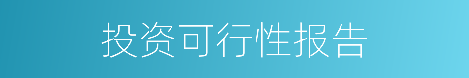 投资可行性报告的同义词
