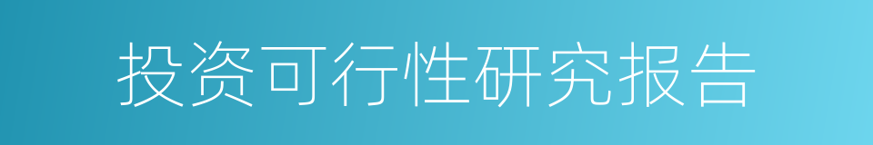 投资可行性研究报告的同义词