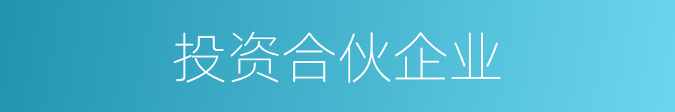 投资合伙企业的同义词