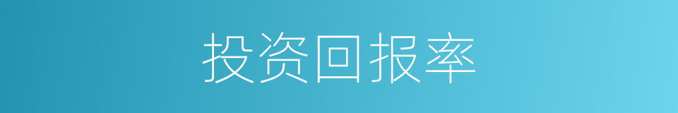 投资回报率的同义词