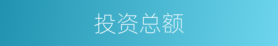 投资总额的同义词