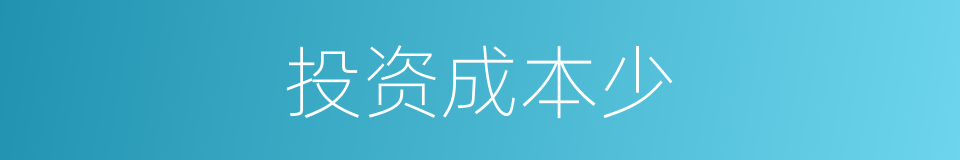 投资成本少的同义词