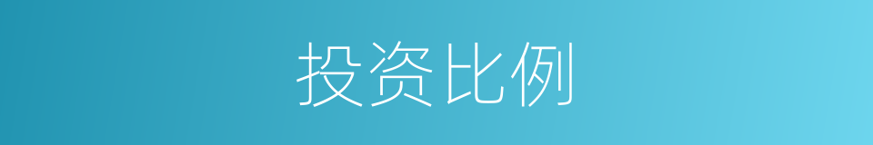 投资比例的同义词
