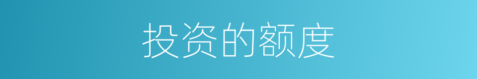 投资的额度的同义词