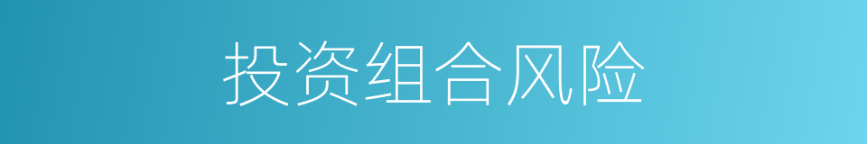 投资组合风险的同义词