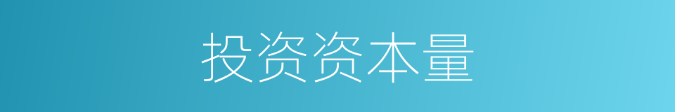 投资资本量的同义词
