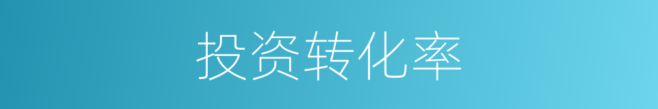 投资转化率的同义词