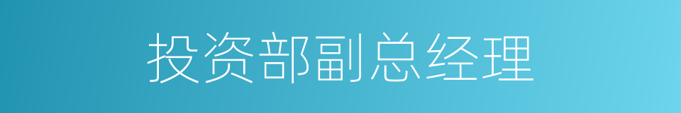 投资部副总经理的同义词