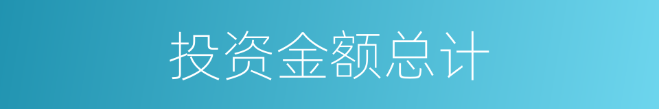 投资金额总计的同义词