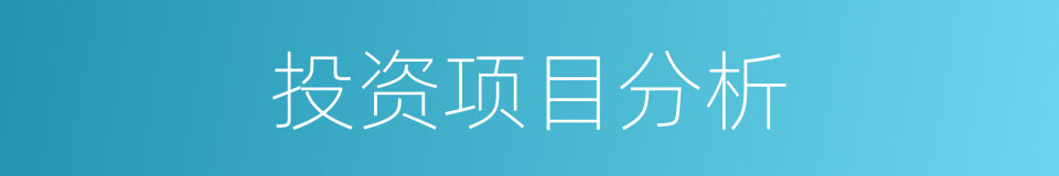 投资项目分析的同义词